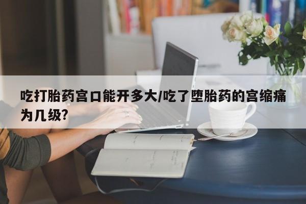 打胎药怎么买吃打胎药宫口能开多大/吃了堕胎药的宫缩痛为几级?
