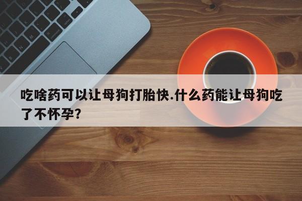 打胎药怎么买吃啥药可以让母狗打胎快.什么药能让母狗吃了不怀孕？